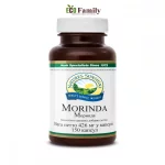 Моринда