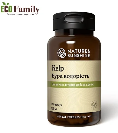 Келп -бура водорость